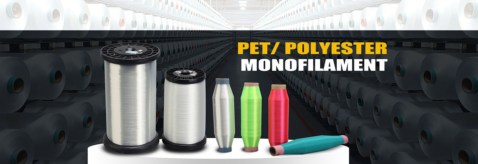 Filati di monofilamenti di PET