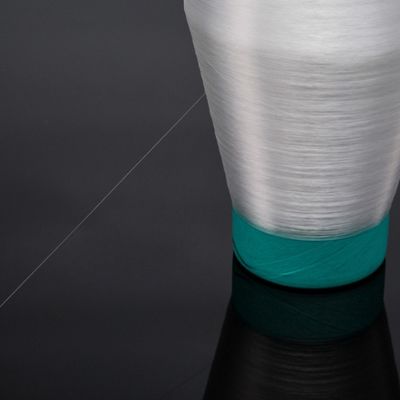 Basso assorbimento di umidità PBT Monofilamento 0,07 mm Materiale riciclabile nero