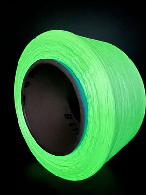 Gloss luminoso nel buio Filati di gancio FDY per tessitura a maglia