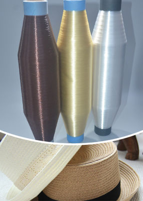 0.10mm PET monofilamento Filato a bassa allungatura per ricamo