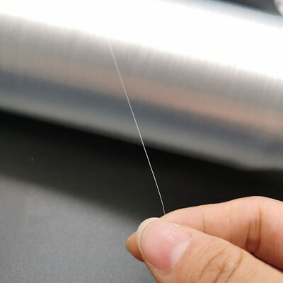 Filati di poliesteri monofilamenti per animali domestici Anti-incendio Monofilamenti senza fuoco Filati neri di poliesteri PET Filati di poliesteri PET manica intrecciata